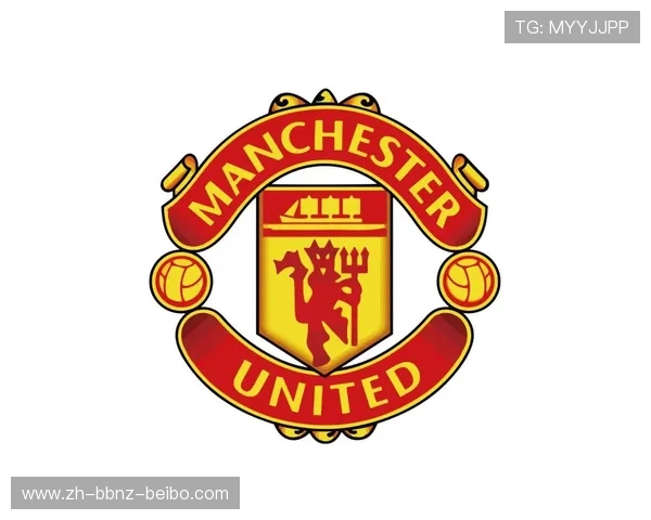 英超各球队队徽尺寸的标准与变化